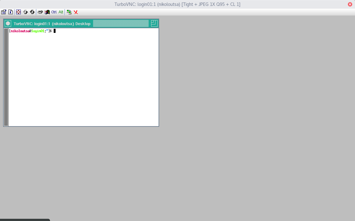 turbovnc_minimal